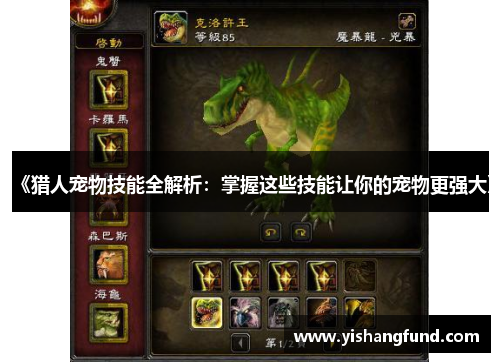 《猎人宠物技能全解析：掌握这些技能让你的宠物更强大》