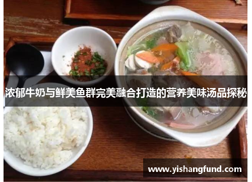 浓郁牛奶与鲜美鱼群完美融合打造的营养美味汤品探秘