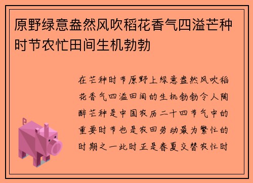原野绿意盎然风吹稻花香气四溢芒种时节农忙田间生机勃勃
